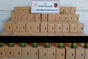 448430428_779334664379052_8947402546504395716_n