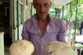 WhatsApp Image 2024-06-13 at 13.23.32