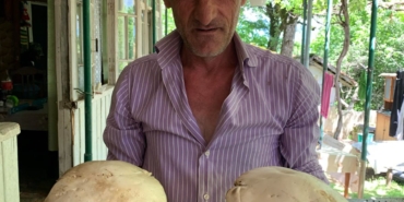 WhatsApp Image 2024-06-13 at 13.23.32