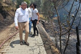 WhatsApp Image 2024-07-05 at 17.05.31