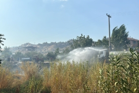 WhatsApp Image 2024-08-02 at 17.44.47