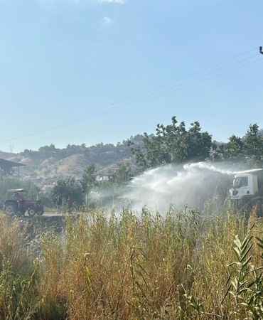 WhatsApp Image 2024-08-02 at 17.44.47