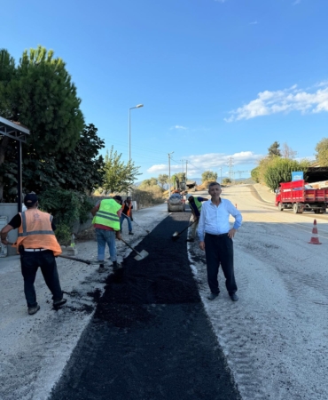 WhatsApp Image 2024-09-13 at 18.38.05