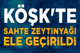 462475902_860298572949327_7985128201954535684_n