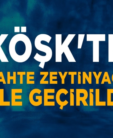 462475902_860298572949327_7985128201954535684_n