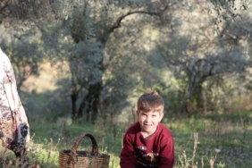 WhatsApp Image 2025-01-30 at 12.34.59