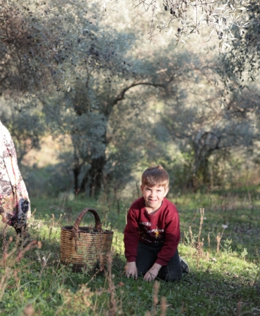 WhatsApp Image 2025-01-30 at 12.34.59