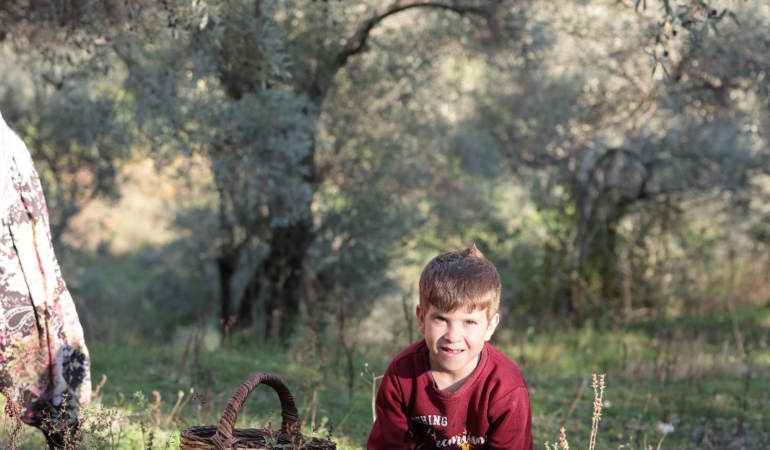 Köşk’te Zeytin Hasadının Sonuna Doğru Gelinmeye Başlandı,Üretici Dertli