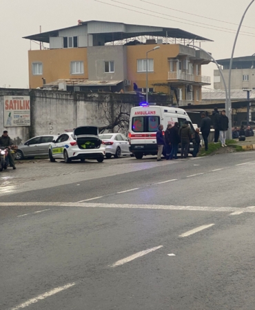 WhatsApp Image 2025-02-04 at 17.43.19