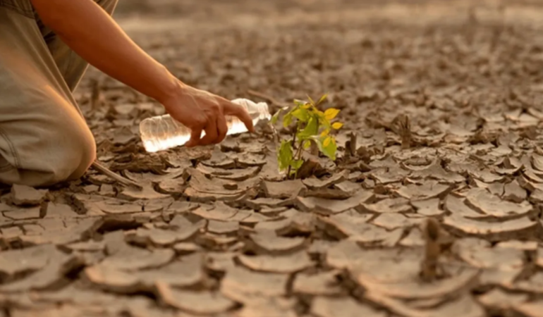 Aydın Valiliği’nden “Su yok, Kuru Tarım Yapın” Kararı
