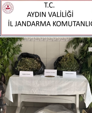 1756525434353_tqrwmj_2_1_copy_1280x720