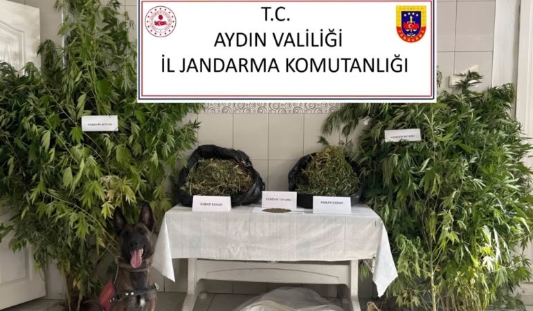 Köşk İlçe Jandarmadan Uyuşturucu Operasyonu