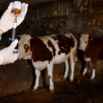 thumbs_b_c_89d1b2487dc19fc00e0696e7dfbcf646