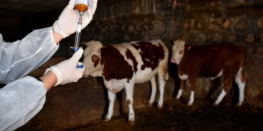 thumbs_b_c_89d1b2487dc19fc00e0696e7dfbcf646