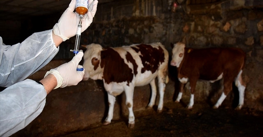 thumbs_b_c_89d1b2487dc19fc00e0696e7dfbcf646