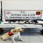 Yasa-disi-silah-ticareti-operasyonu-1-gozalti-377383_news_big