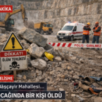 file_00000000cbf87246b8905c2bb7e03568(1)