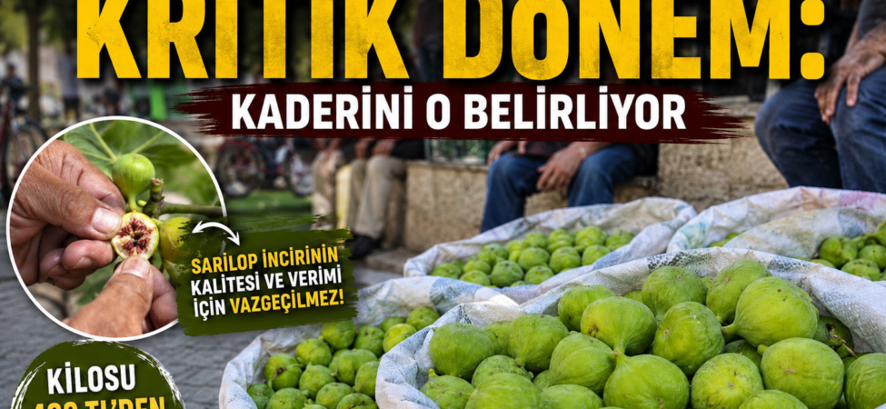 file_00000000478071fdafc5db87c8d6e019