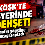 file_0000000069448210a47fa31d9da7c9de